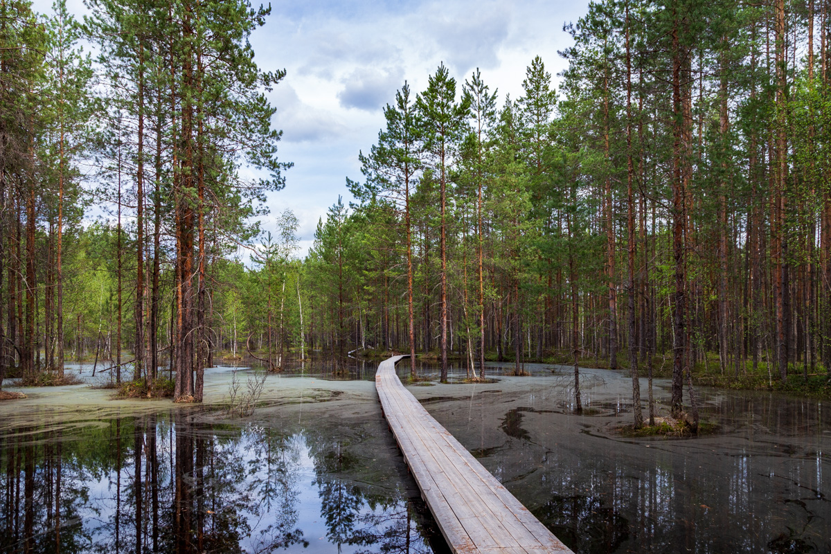 Керженский заповедник