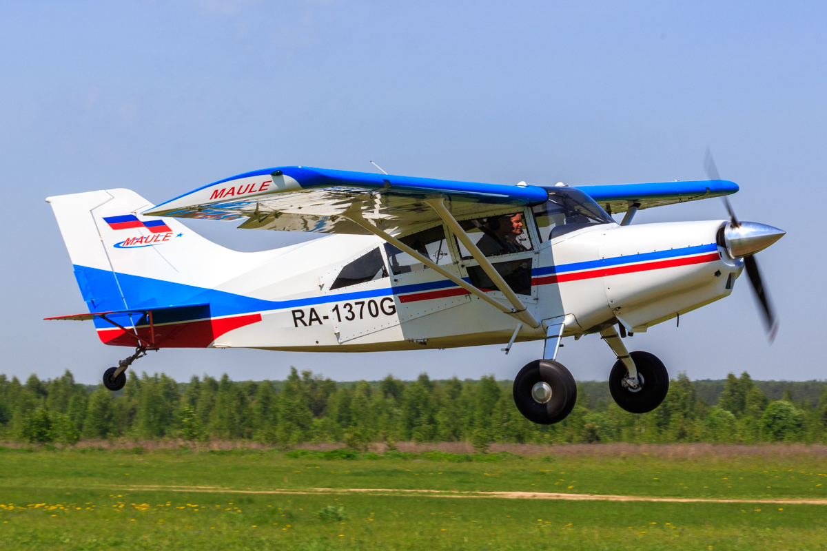 Maule M7